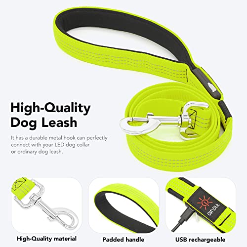 Light Up Dog Leash, USB Rechargeable, LED (4FT,Green & Reflective Wires) | Glow in dark, reflective, USB-C rechargeable, bright LED for night safety, fits small to large dogs - color: Green & Reflective Wires, size: 4FT