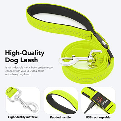 Light Up Dog Leash, USB Rechargeable, LED (4FT,Green & Reflective Wires) | Glow in dark, reflective, USB-C rechargeable, bright LED for night safety, fits small to large dogs - color: Green & Reflective Wires, size: 4FT