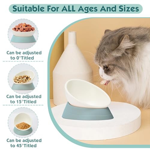 French Bulldog Food Bowl- Slanted Tilted Pug Food Water Bowl,Cat Bowl- Feeder for Frenchie/Shih Tzu/Flat Faced Small Dogs/Puppies/Cats (Green, 2 Cup) - color: Green, size: 2 Cup