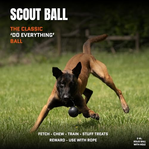 Monster K9 Scout Ball | Virtually Indestructible. Lifetime Guaranteed. | VULCRON™ Natural Rubber | Durable Dog Toy for Aggressive Chewers | Chew & Fetch | Tough, Heavy Duty | Medium & Large Breed, 3" - size: 1-Pack
