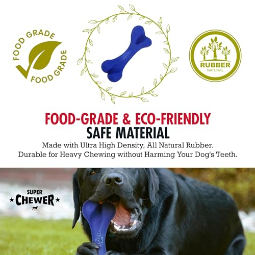 SuperChewer Tough Dog Bone Toy | Lifetime Replacement | Strong Natural Rubber | Great Dog Fetch Toy | Chew Toys for Dogs | Ultra Durable Chew Toys for Moderate Chewers | Large Breed Tested - size: Small