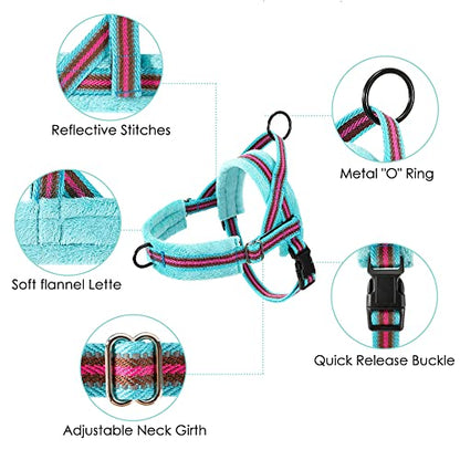 Lukovee No Pull Dog Harness and Leash Set, Soft Padded Small Dog Harness, Neck & Chest Adjustable Reflective Vest Puppy Harness with 4ft Lightweight Anti-Twist Dog Leash for Small Dogs (XXS, 01-LBL) - color: Light Blue - with Stripe, size: XXS ( Chest 11.