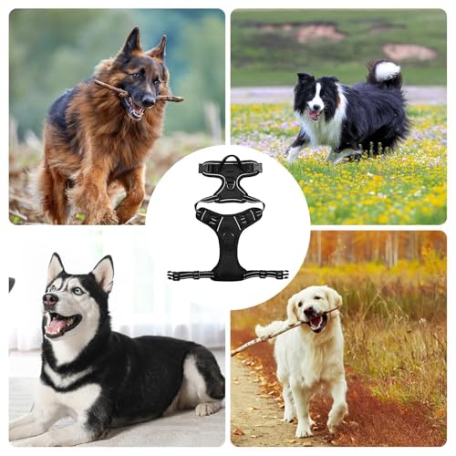 Escape Proof Dog Harness | No-Pull Pet Harness - Reflective No-Pull No-Choke Pet with 2 Clips Dog for Dogs Puppy Cats Outdoor Training