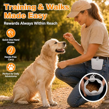 Upgraded Dog Treat Pouch with Strong Magnetic Closure - Small Silicone Training Bag, Waist-Mounted Clip & Leash Carabiner, Airtight Portable Treat Bag (Light Gray) - color: Light Gray