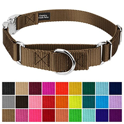 Country Brook Petz - Martingale Dog Collar - Heavy Duty Nylon Adjustable Martingale Dog Collar with Premium Buckle for Small Medium Large Breeds (5/8 Inch, Extra Small, Coyote Tan) - color: Coyote Tan, size: Extra Small (Pack of 1)
