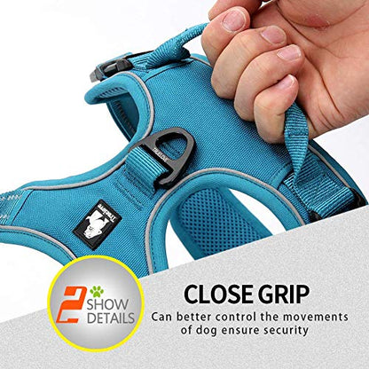 JUXZH Truelove No Pull Dog Harness with Easy Control Handle and 2 Leash Attachments,Reflective Adjustable Pet Vest - color: Teal Blue, size: Small (Pack of 1)