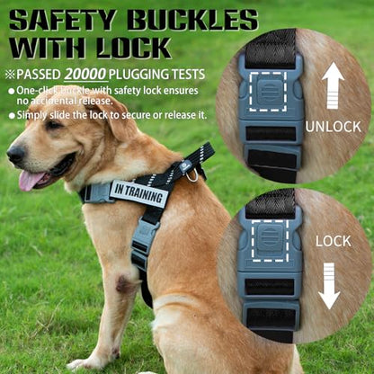 Service Dog Harness and Leash Set, No-Pull Service Dog Vest with 4 PCS Reflective Patches, Dog Vest Harness with Handle, Pet Harness for Small Medium Large Dogs in Training (Black, S) - color: Black (Leash + Harness + 4 Patches), size: Small (Chest: 19-25
