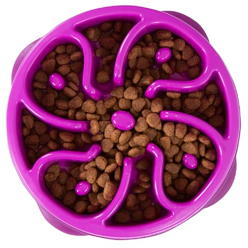 Outward Hound Fun Feeder Slo Bowl – Medium 2‑Cup Capacity,Slow Feeding,Small to Medium Dogs & Cats,Non-Slip,Purple,Flower Pattern,(Pack of 12) - color: Purple, size: Medium (Pack of 12)