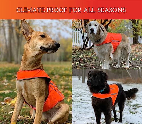 SPOT THE DOG! Reflective Dog Vest - High Visibility Safety Dog Accessories, Fluorescent Dog Apparel for Walking, Hiking & Camping, Hunting (Blaze Orange, Large) - size: Large