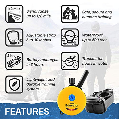 Educator ET-300 Mini E Collar for Dog Training with Remote - 1/2 Mile Range, Waterproof, 100 Blunt Stimulation Levels, Tone or Vibration Mode, Night Light Tracking for Small, Medium & Large Dogs - size: 1-Dog (ET-300)