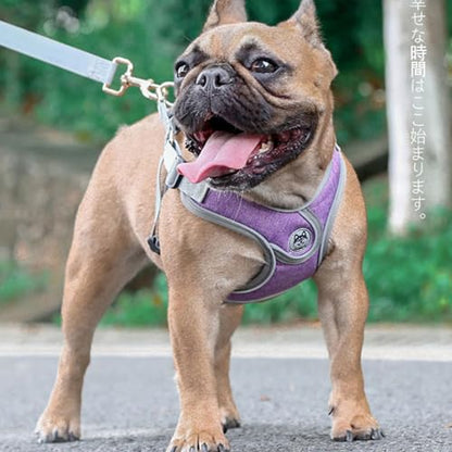 Puppy Harness and Leash Set,No Pull Adjustable Step in Soft Mesh Vest Harness,Easy Walk Reflective Pet Harness with Padded Handle for Walking Training Small Medium Large Dogs and Cats (Purple, XS) - color: Purple, size: XS