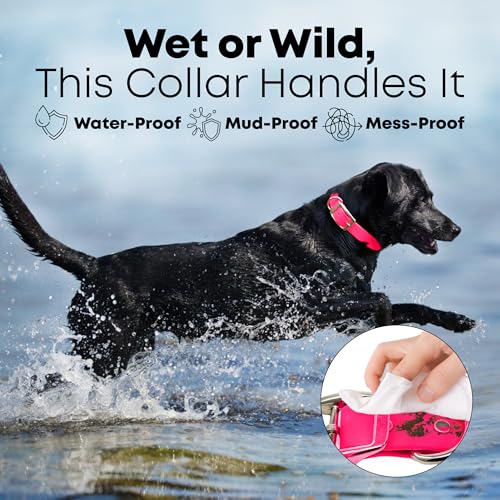 Regal Dog Products Medium Pink Dog Collar with Heavy Duty Double Buckle & D Ring | Vinyl Coated, Custom Fit, Adjustable Biothane Dog Collar | Chew Resistant Waterproof Center-Ring Collar for Dogs - color: Pink, size: Medium