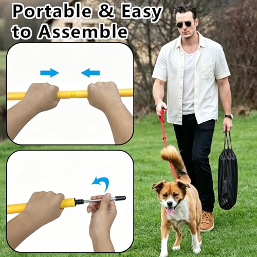 6-Pack Dog Agility Weave Poles with Stakes for Backyard Dog Training - color: SLV-weave 6