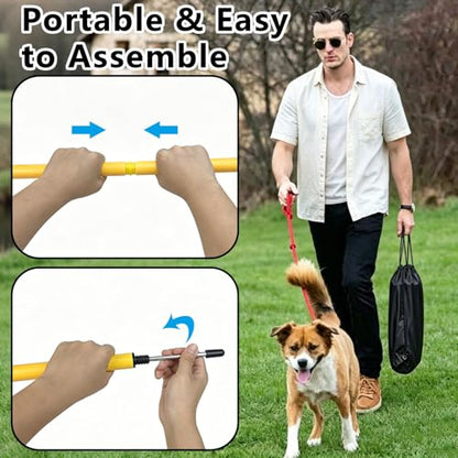 6-Pack Dog Agility Weave Poles with Stakes for Backyard Dog Training - color: SLV-weave 6