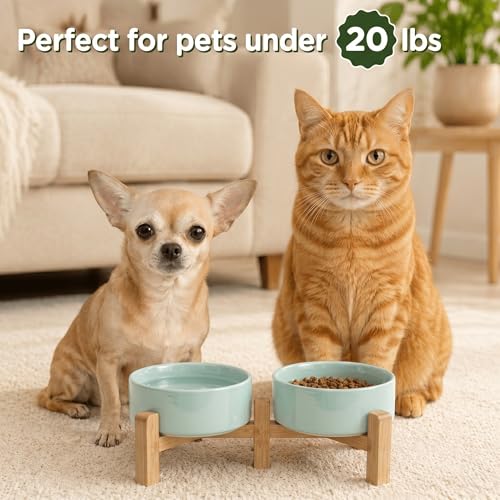 SPUNKYJUNKY Elevated Dog Bowls Ceramic, 5.1'' Dogs and Cat Food Water Bowls Raised with Non-Slip Bamboo Stand for Puppy Small Sized Breed Microwave Dishwasher Safe - 13.5 OZ,Light Green - color: Light Green, size: 5.1 in - 1.7 cups