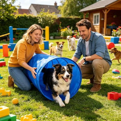 Dog Agility Training Equipment Exercise Game with Tunnel | Dog Park Equipment Outdoor for Outdoor Garden Park Beach Playground Field Competition Recreation - color: A