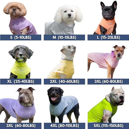 Spark Paws Sunblock Dog T-Shirt, SPF30 Protection, Lightweight Breathable Quick Dry for Dogs with Sensitive Skin - Bees & Gelato (Set of 2) - Size 2XL - color: Bees & Gelato, size: 2XL: 40-60lbs