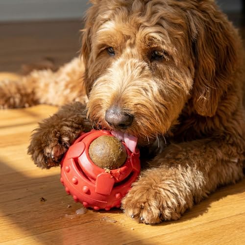 SPOT Seek-A-Treat Double Puzzle Ball Dog Toy, 3.25 in Durable Rubber Treat Dispenser with Dual Openings for Mental Stimulation & Long-Lasting Play, for Dogs up to 50 lbs
