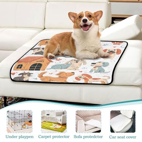 Qilmy Dog Pet Mat, Waterproof Reusable Dog Training Pad Anti-Slip Pet Creat Pad for Small Medium Large Dogs and Cats - size: Smallx3