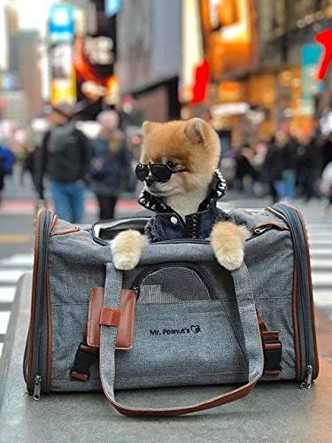 Mr. Peanut's Airline Approved Soft Sided Pet Carrier, Low Profile Gold Series Tote, Premium Brand Self Locking Zippers, Under Seat Compatibility, Plush Faux Fleece Bedding with a Sturdy Plywood Base - color: Deja Blue