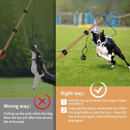 Flirt Pole for Dogs, Interactive Toys Tug-of-war for Pet, Durable Teaser Wand, Chase Toys with Rope Chewing Sticks, for Outdoor Exercise & Training - size: 2 switch-40.2Inch-Gold