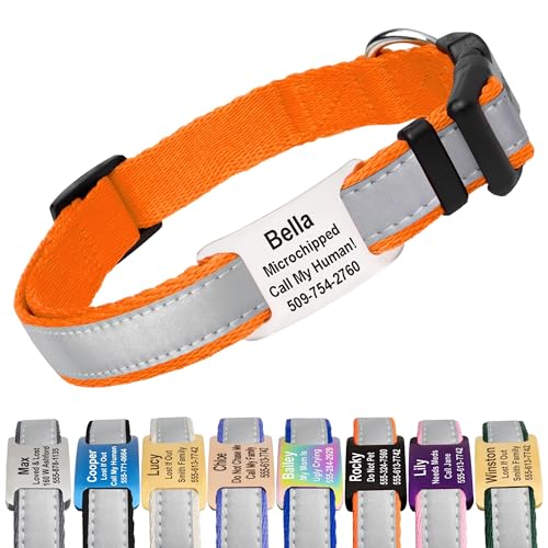 GoTags Reflective Personalized Dog Collar with Nameplate, Adjustable Dog Collar with Custom Engraved Steel Slide On Pet ID Tag, Silent, No Noise Dog Tag 66 Color Options (Reflective, Large) - color: Reflective, size: Large (Pack of 1)
