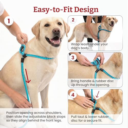 Harness Lead No Pull Dog Harness and Leash Set, Anti Pull Dog Harness, One-Piece Cushioned Rope Safely Prevents Escaping and Pulling (Medium/Large, Pink/Purple) - color: Pink/Purple