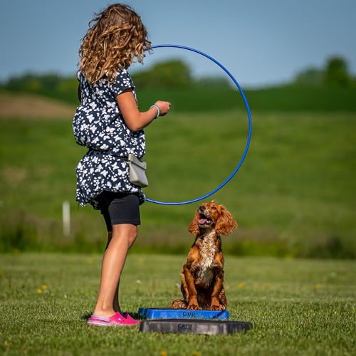 Cato Board - Dog Training Platform (Blue, Rubber Surface) - color: Blue