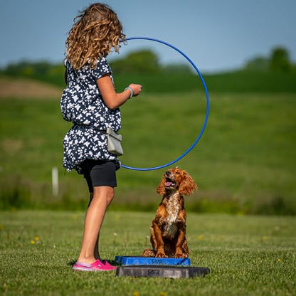 Cato Board - Dog Training Platform (Blue, Rubber Surface) - color: Blue