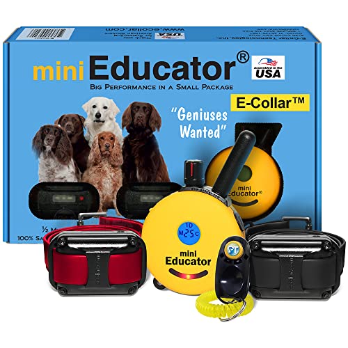 Educator ET-302 Mini E Collar for Dog Training with Remote - 1/2 Mile Range, Waterproof, 100 Blunt Stimulation Levels, Tone or Vibration Mode, Night Light for Small, Medium & Large Dogs (2 Dogs) - size: 2-Dog (ET-302)