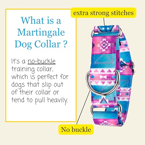 Country Brook Petz - HossFit Jr Wide Martingale Dog Collar - Country and Western Collection Featuring Rustic Designs (Albuquerque, Medium) - color: Albuquerque, size: Medium (Pack of 1)