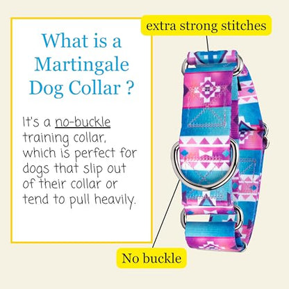 Country Brook Petz - HossFit Jr Wide Martingale Dog Collar - Country and Western Collection Featuring Rustic Designs (Albuquerque, Medium) - color: Albuquerque, size: Medium (Pack of 1)