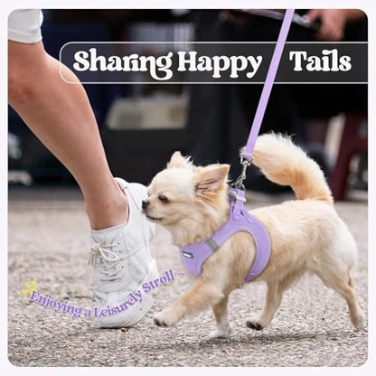 rabbitgoo Dog Harness Small Sized and Leash Set, Step in Soft Light Puppy Vest, Breathable Mesh Pet Harness, Reflective for Safe Easy Walking, Light Purple XXXS - color: Light Purple, size: Xxxs (chest: 10.8 - 11.8")
