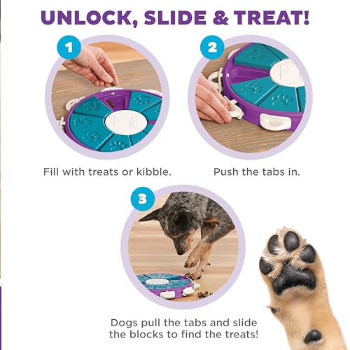 Outward Hound by Nina Ottosson Dog Twister – Interactive Treat Puzzle Enrichment Toy, Level 3 Advanced - color: Dog Twister (Purple, Blue)