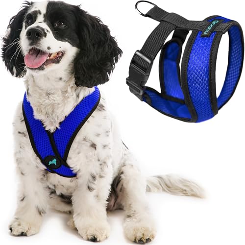 Gooby Choke Free Comfort X Soft Harness, Blue, Small - color: Blue, size: Small Chest (11.75-15.5")