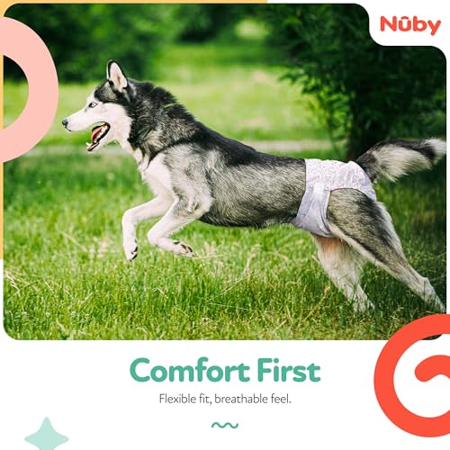 Nuby Pets Disposable Female Dog Diapers with Wetness Indicator, Leak-Resistant & Absorbent for Dogs in Heat, Training & Incontinence, Small (12"- 20" Waist), 50 Count - size: S (Waist 12-20 in)