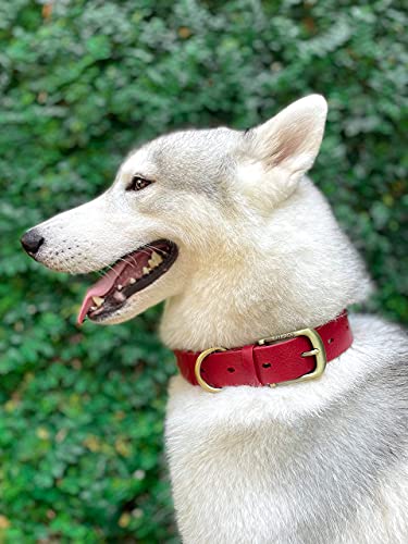 Tuff Pupper Classic Heavy Duty Dog Collar | 10x Stronger Than Leather | 100% Waterproof & Odor Proof Dog Collar | Tough Rust-Proof All Metal Hardware - color: Crimson Red