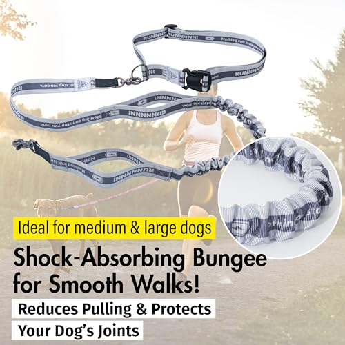 Hands Free Dog Leash with Waist Belt Lifetime Replacement, Dual Handle Bungee Leash for Running, Jogging, Hiking and Walking, for Medium and Large Dogs 5318 - color: Grey