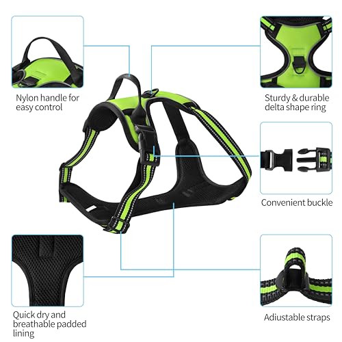 Green No-Pull Dog Harness with 2 Leash Clips，Soft Padded Vest for Medium Dog, Adjustable Reflective Dog Vest Easy to Put on and Take Off, (Neck: 14"~20", Chest: 21"~27", Green M) - color: Green, size: Medium