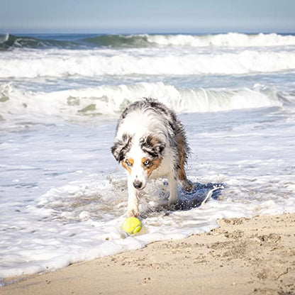 Hyper Pet K9 Kannon Dog Ball Thrower Launcher for Dogs, All Breeds Up To 60 Pounds, With One Hyper Pet 2.5 Inch Tennis Ball, For All Breeds | Includes one 2.5 inch tennis fetch piece, sends it flying farther with far less effort, keeps active pups running