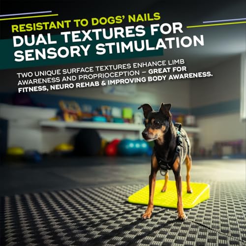 FitPAWS Balance Ramp | Dog Agility Equipment for Balancing, Obedience Training, and Sensory Stimulation