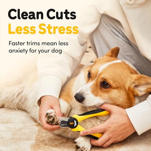 LED Dog Nail Clippers with Light Illumination, Trimmers with Protective Guard, Safety Lock and Nail File - Suitable for Large and Small Dogs & Cats (Yellow) - color: Yellow, size: Medium-Large (LED)