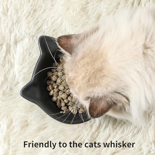 Nihow Slanted Elevated Cat Bowls: 5 Inch Ceramic Raised Cat Food Bowl for Protecting Pet's Spine - Microwave & Dishwasher Safe -Matte Black (4.5 OZ /1 PC) - color: Matte Black, size: 4.5 OZ