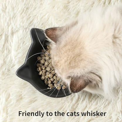 Nihow Elevated Cat Bowls,5 Inch Ceramic Raised Cat Food and Water Bowl Set | Slanted,Whisker Friendly,for Protecting Pet's Spine,Microwave & Dishwasher Safe ,Elegant Black 4.5 OZ, Set of 2 - color: Matte Black, size: 4.5 OZ+8 OZ