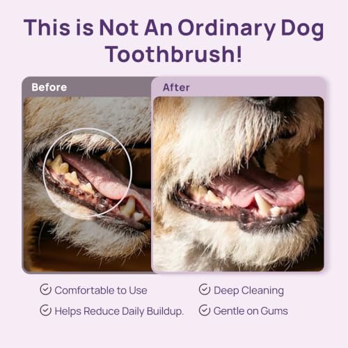 HICC PET Toothbrush for Cats & Small Dogs,Ergonomic Pet Toothbrush for Easy Teeth Cleaning,Gentle on Gums, Cat & Dog Dental Care – Toothpaste Not Included - color: Purple for Cats & Small Dogs