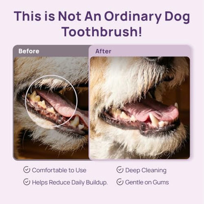 HICC PET Toothbrush for Cats & Small Dogs,Ergonomic Pet Toothbrush for Easy Teeth Cleaning,Gentle on Gums, Cat & Dog Dental Care – Toothpaste Not Included - color: Purple for Cats & Small Dogs