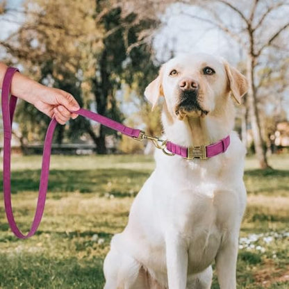 Personalized Dog Collars for Medium Dogs, Custom Soft PU Leather Dog Collar with Engraved ID Name and Number, Adjustable & Durable Pet Collars with Quick Release Metal Buckle,M(13-21") - color: Eustoma Purple-Engraving, size: Medium: Fit 13-21" Neck