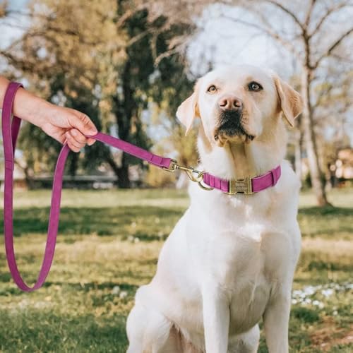 Personalized Dog Collars for Small Dogs, Custom Soft PU Leather Dog Collar with Engraved ID Name and Number, Adjustable & Durable Pet Collars with Quick Release Metal Buckle,S(10-16") - color: Eustoma Purple-Engraving, size: Small: Fit 10-16" Neck