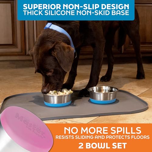 Master Pet Supply Stainless Steel Dog Bowls Set of 2 with Extra Thick Silicone Base - 4 Cup (32 oz) Hyper Pink, Non-Slip, Dishwasher Safe Metal Bowls, Pet Dog Food Bowl for Dogs, Cats, Anti Rust - color: Hyper Pink, size: 4 Cups (32 oz) 2 Pack