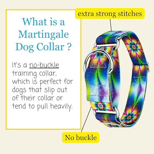Country Brook Petz - HossFit Jr Wide Martingale Dog Collar - Groovy Collection Featuring Far Out Designs (Tie Dye Flowers, Large) - color: Tie Dye Flowers, size: Large (Pack of 1)